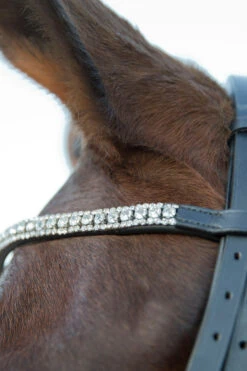 Horze Laelia Kandarenzaum -Horze Verkaufsgeschäft 10001 BL 03