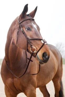 Horze Prescott Mexikanische Trense -Horze Verkaufsgeschäft 10012 BR 03