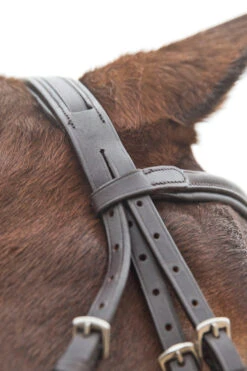 Horze Prescott Mexikanische Trense -Horze Verkaufsgeschäft 10012 BR 05