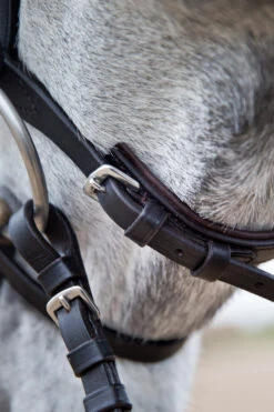 Horze Weston Trense -Horze Verkaufsgeschäft 10017 BR 04