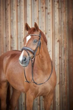 Horze Lester Trense -Horze Verkaufsgeschäft 10019 BR 4