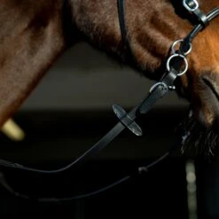 Horze Gebisslose Trense 11 Horze Gebisslose Trense -Horze Verkaufsgeschäft 10081 BL 6