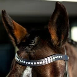 Horze Bergen Remont Trense -Horze Verkaufsgeschäft 10109 BR 2