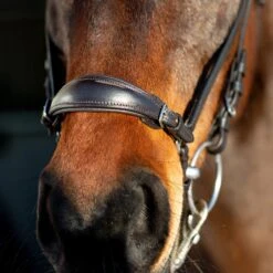 Horze Bergen Remont Trense -Horze Verkaufsgeschäft 10109 BR 3