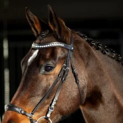 Horze Bergen Remont Trense -Horze Verkaufsgeschäft 10109 BR 4