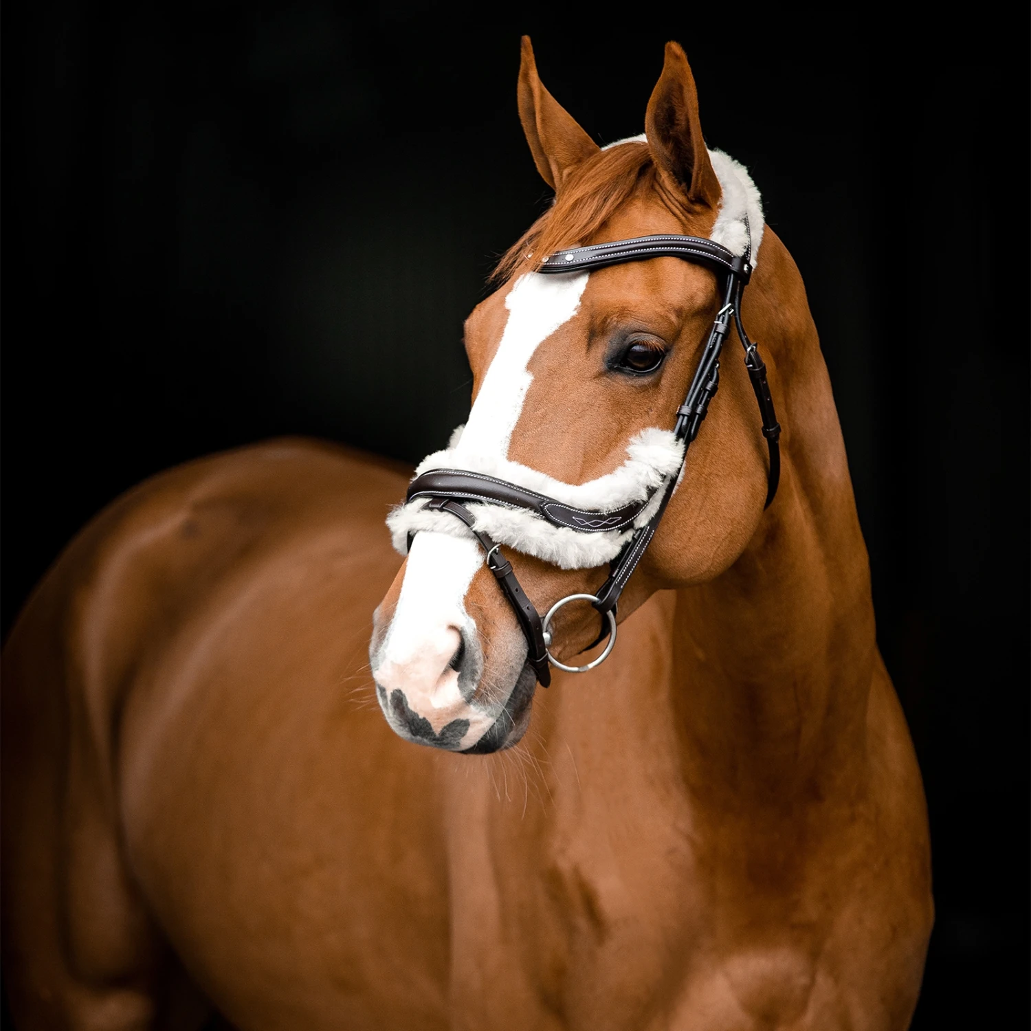 Horze Rome Anatomische Trense 5 Horze Rome Anatomische Trense – Bild 5