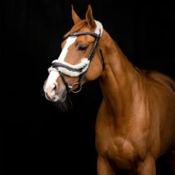 Horze Rome Anatomische Trense 11 Horze Rome Anatomische Trense -Horze Verkaufsgeschäft 10118 DBR 4