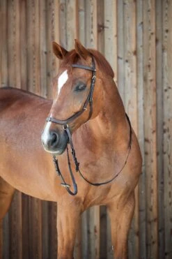 Horze Orlando Anatomische Kombinierte Gebisslose Trense -Horze Verkaufsgeschäft 10125 BR 5