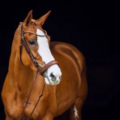 Horze Positano Anatomische Hannoveranische Trense 13 Horze Positano Anatomische Hannoveranische Trense -Horze Verkaufsgeschäft 10126 BR 2