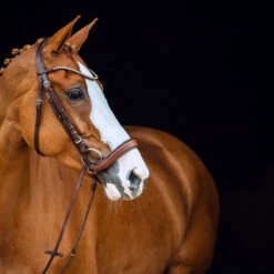 Horze Positano Anatomische Hannoveranische Trense 14 Horze Positano Anatomische Hannoveranische Trense -Horze Verkaufsgeschäft 10126 BR 3