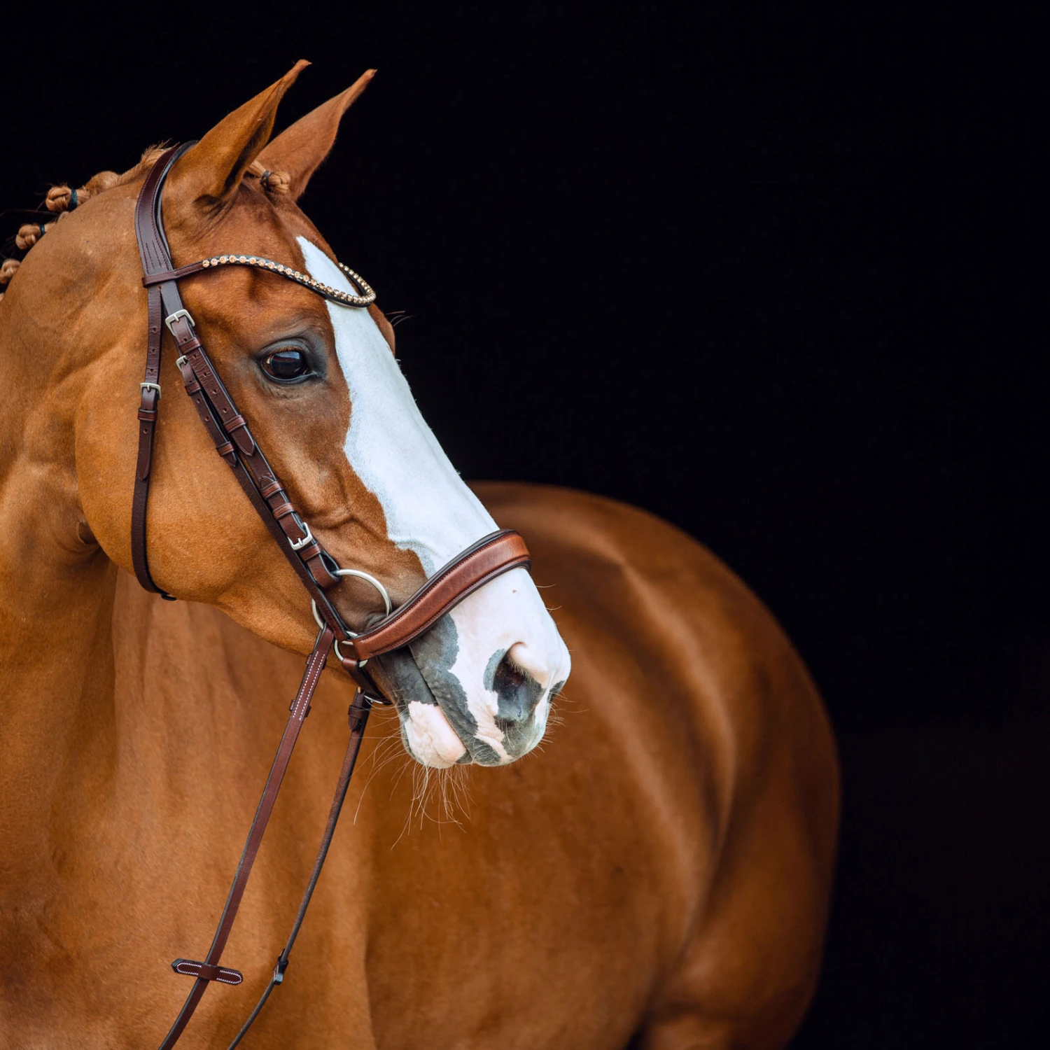 Horze Positano Anatomische Hannoveranische Trense 7 Horze Positano Anatomische Hannoveranische Trense – Bild 7