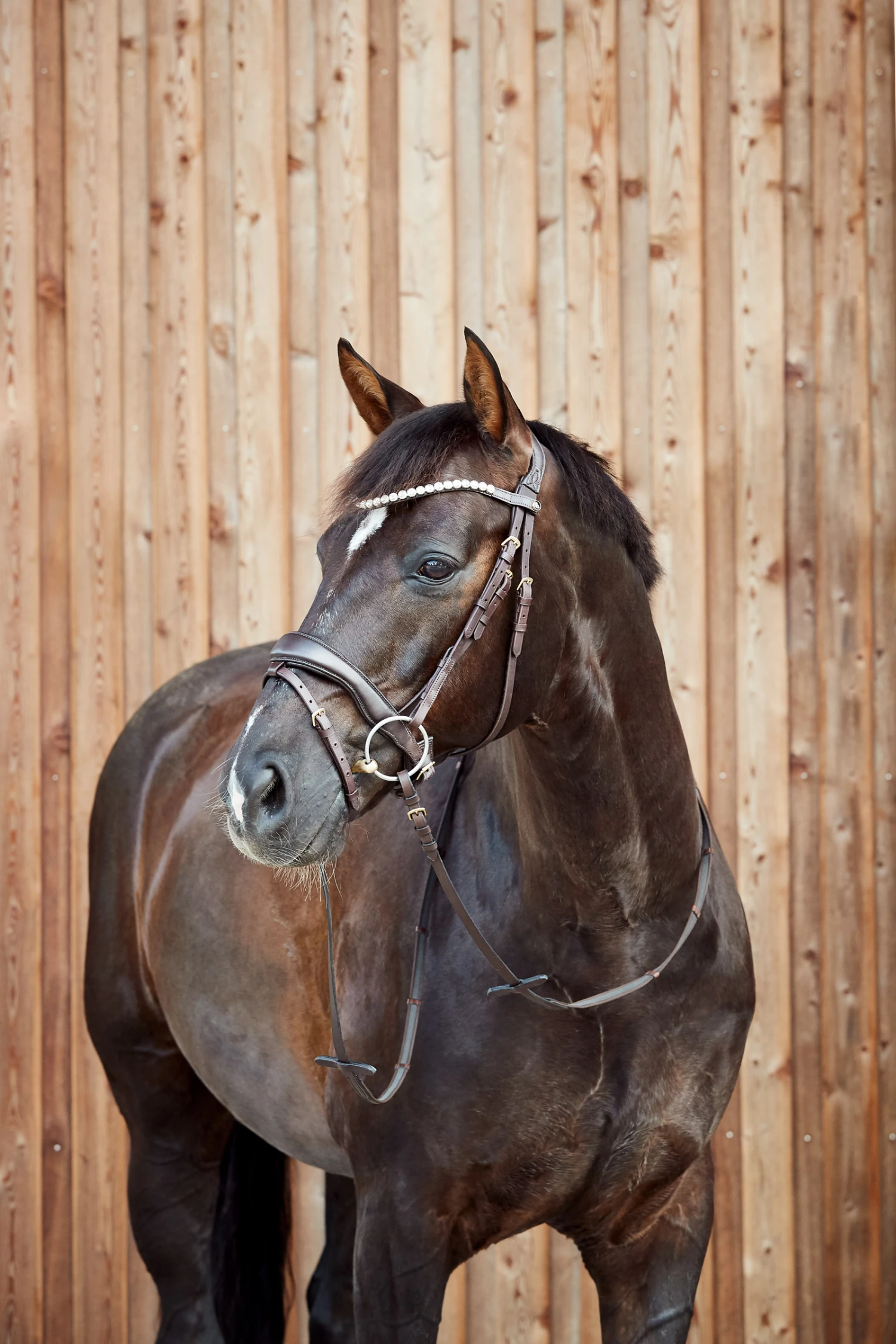 Horze Somerset Anatomische Trense 8 Horze Somerset Anatomische Trense – Bild 8