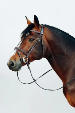 Horze Buxton Anatomische Trense Mit Zügeln -Horze Verkaufsgeschäft 10158 BR 3