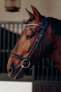 Horze Munich Stirnriemen Mit Strasssteinen -Horze Verkaufsgeschäft 10162 rtpi 02