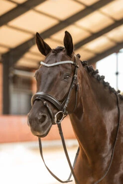 Horze Columbia Stirnriemen Mit Kristallen -Horze Verkaufsgeschäft 10169 BL DB 4