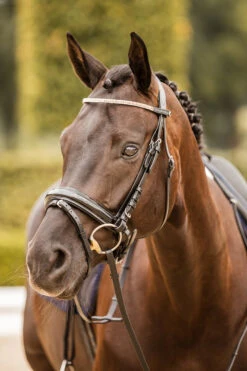 Horze Nancy Stirnriemen Mit Kristallen Und Flechtdetail -Horze Verkaufsgeschäft 10170 bl rgo 05