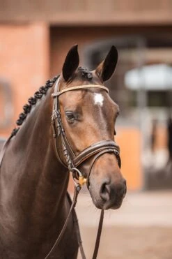 Horze Nancy Stirnriemen Mit Kristallen Und Flechtdetail -Horze Verkaufsgeschäft 10170 br rgo 04