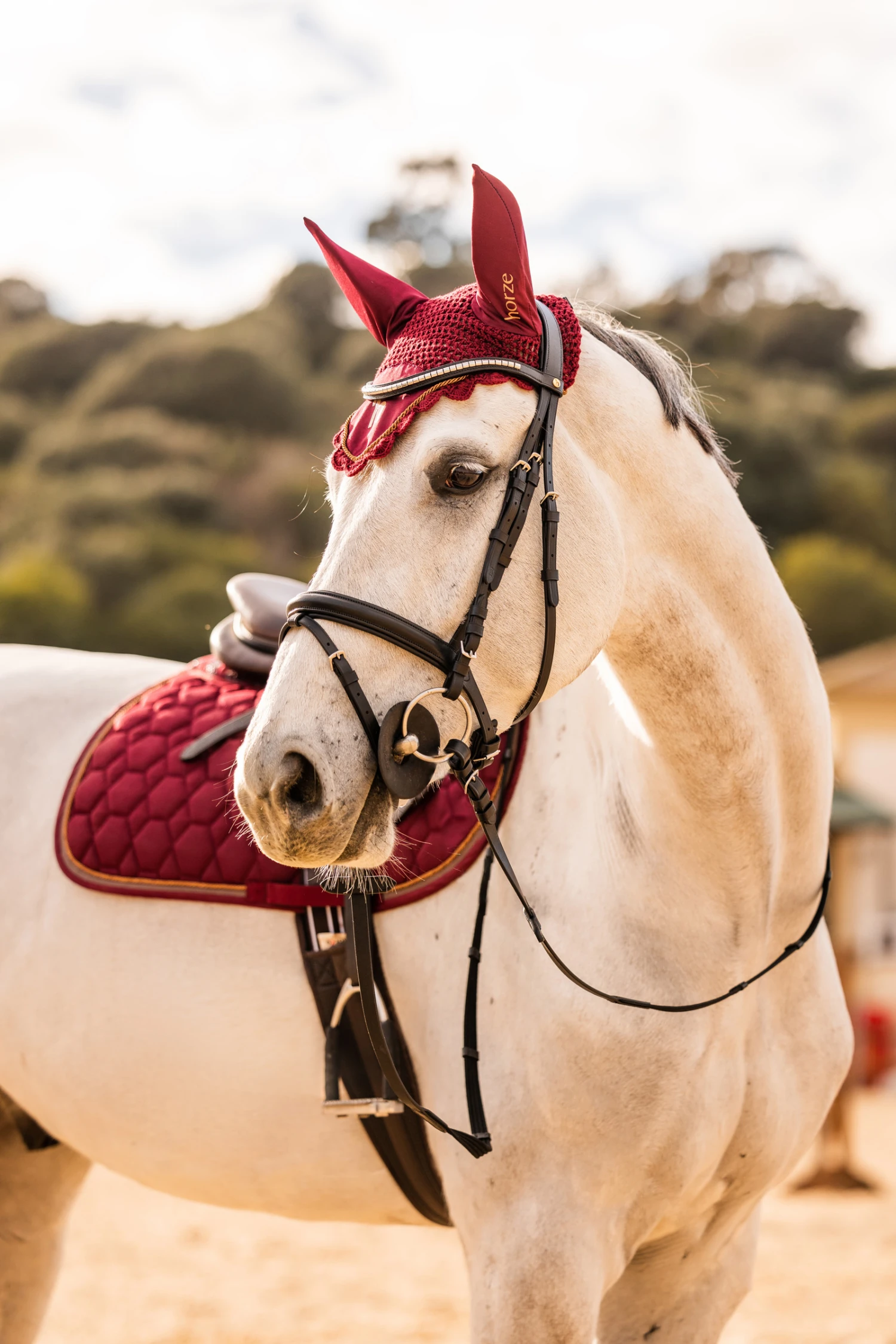 Horze Safari Clincher Trense 14 Horze Safari Clincher Trense – Bild 14