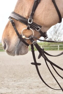 Horze Sparta Schlaufzügel Aus Nylon/Leder -Horze Verkaufsgeschäft 10614 dbr 03