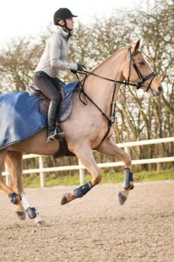 Horze Venice Kombiniertes Martingal -Horze Verkaufsgeschäft 10858 bl 03