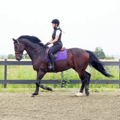 Horze River Vielseitigkeitsschabracke -Horze Verkaufsgeschäft 17014 PU PU 2