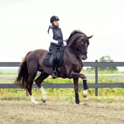 Horze River Dressurschabracke -Horze Verkaufsgeschäft 17024 BL BL 3