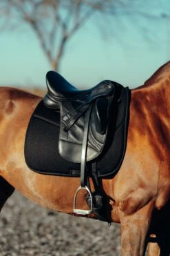 Horze Phoenix Dressurschabracke -Horze Verkaufsgeschäft 17295 BL 4