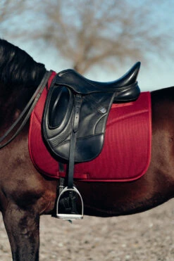 Horze Phoenix Dressurschabracke -Horze Verkaufsgeschäft 17295 adpi 04