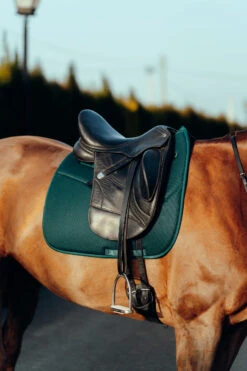 Horze Phoenix Dressurschabracke -Horze Verkaufsgeschäft 17295 stgr 04