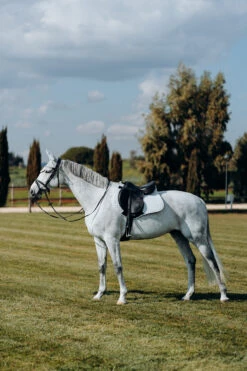 Horze Kühlende Vielseitigkeitsschabracke -Horze Verkaufsgeschäft 17307 PBG 3