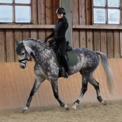 Horze Adepto Vielseitigkeitsschabracke -Horze Verkaufsgeschäft 17343 BKGR 7