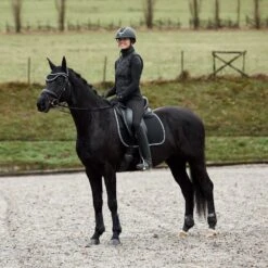 Horze Adepto Vielseitigkeitsschabracke -Horze Verkaufsgeschäft 17343 BL 5