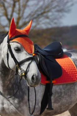 Horze Adepto Vielseitigkeitsschabracke -Horze Verkaufsgeschäft 17343 cgo 04