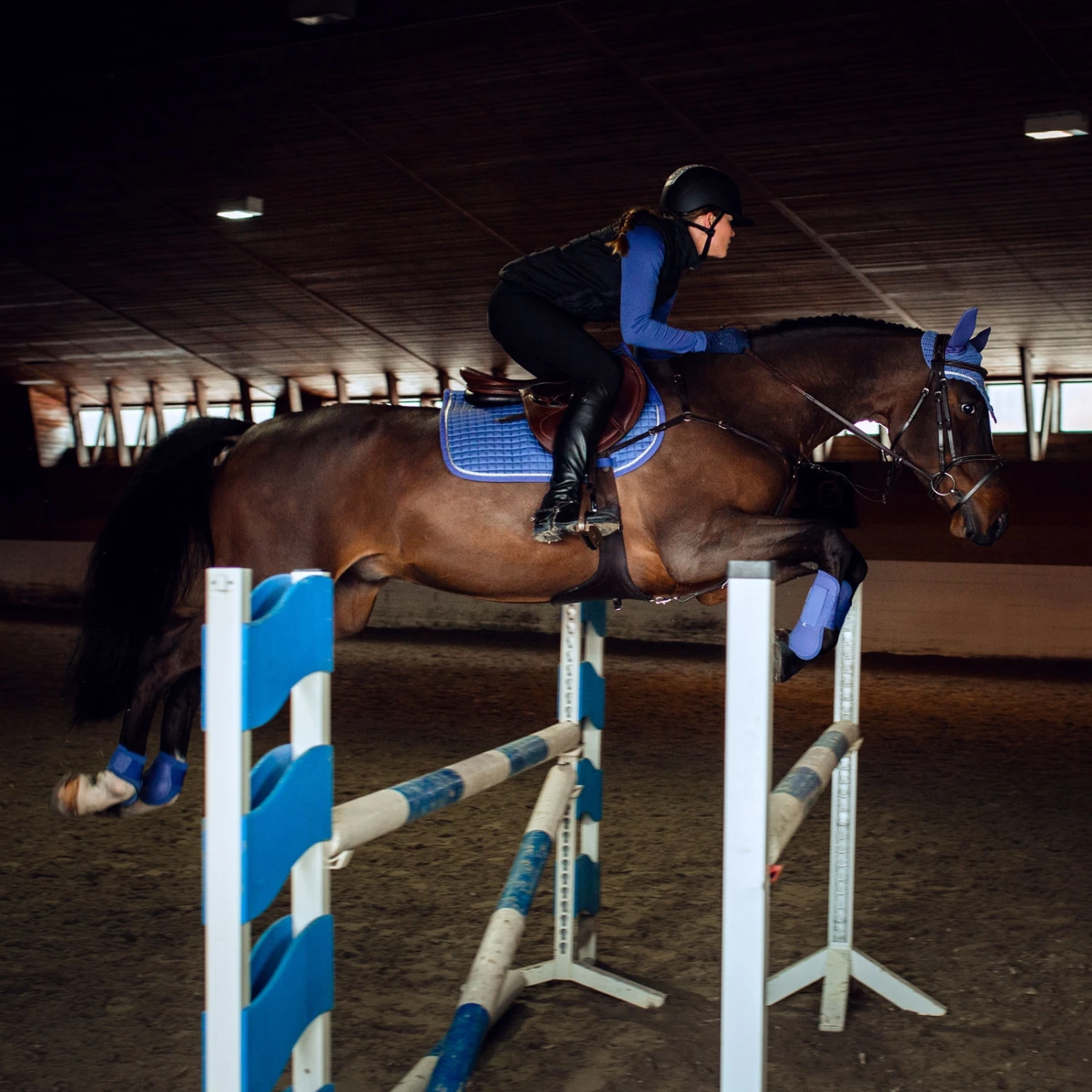 Horze Glarus Vielseitigkeitsschabracke Mit Metallischem Flechtdetail 10 Horze Glarus Vielseitigkeitsschabracke Mit Metallischem Flechtdetail – Bild 10