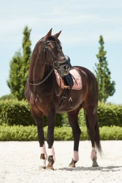 Horze Coventry Dressurschabracke -Horze Verkaufsgeschäft 17417 CPI 3