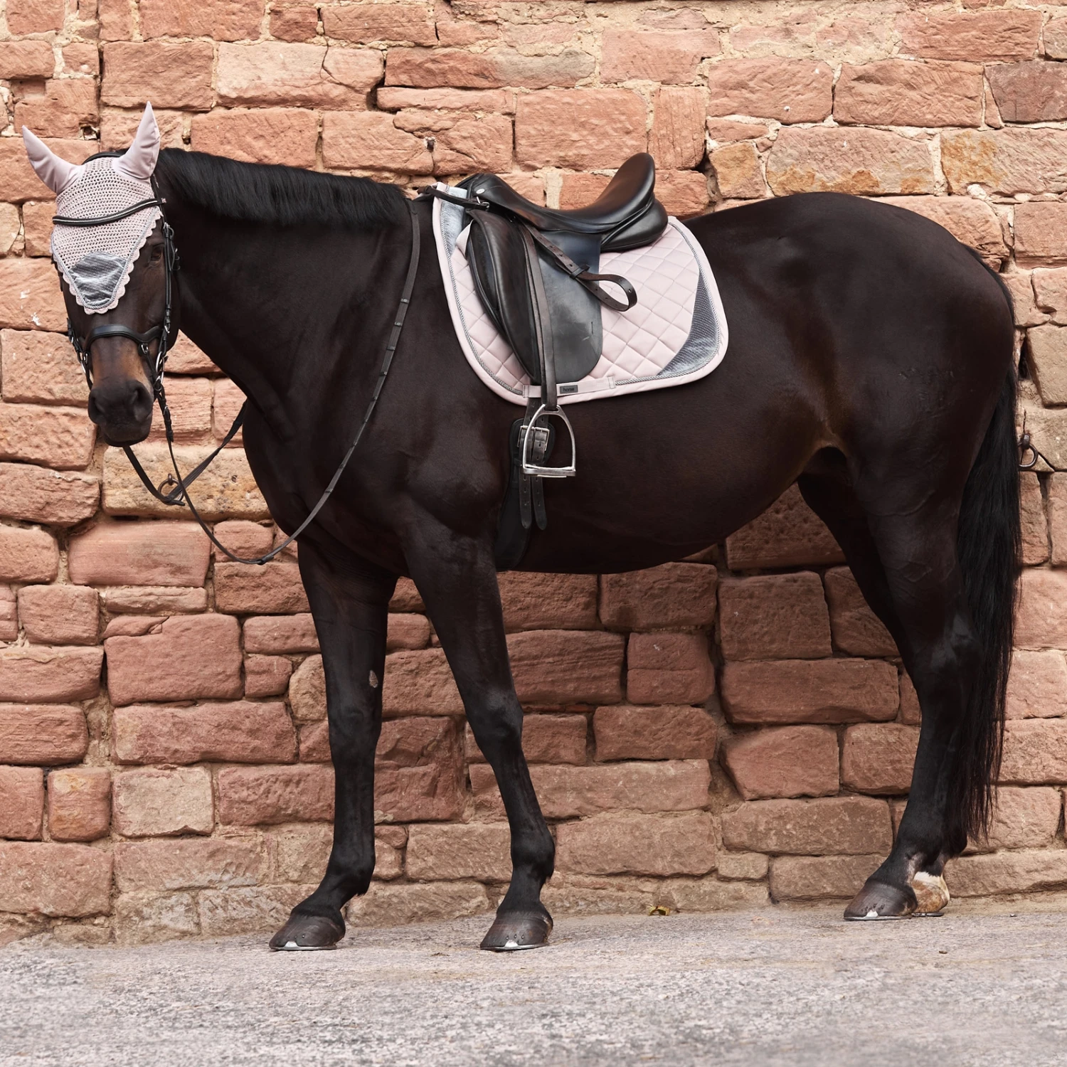 Horze Pomona Dressurschabracke Mit Samtdetails 11 Horze Pomona Dressurschabracke Mit Samtdetails – Bild 11