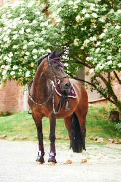 Horze Monster Pony Schabracke Mit Bestickung -Horze Verkaufsgeschäft 17422 FPU 5