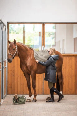 Horze Sandnes Vielseitigkeitsschabracke -Horze Verkaufsgeschäft 17425 dogr 03