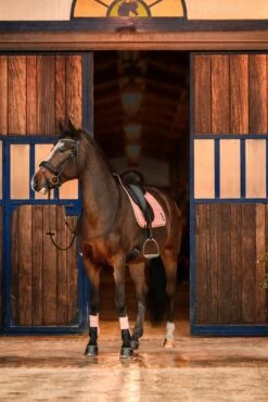 Horze Trixi Pony Vielseitigkeitsschabracke -Horze Verkaufsgeschäft 17441 333 05