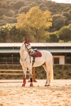 Horze Kenya Vielseitigkeitsschabracke -Horze Verkaufsgeschäft 17444 251 06