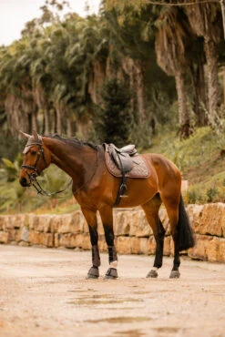 Horze Kenya Vielseitigkeitsschabracke -Horze Verkaufsgeschäft 17444 753 07