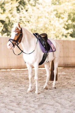 Horze Magic Carousel Vielseitigkeitsschabracke Für Ponys -Horze Verkaufsgeschäft 17461 433 06