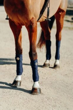 Horze Ella Ponybandagen -Horze Verkaufsgeschäft 18258 PDB 2