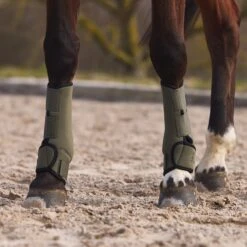 Horze Marquess Neopren-Gamaschen -Horze Verkaufsgeschäft 19204 BOGR 6