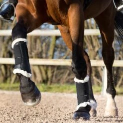 Horze Signature Gamaschen 31 Horze Signature Gamaschen -Horze Verkaufsgeschäft 19212 BL 2