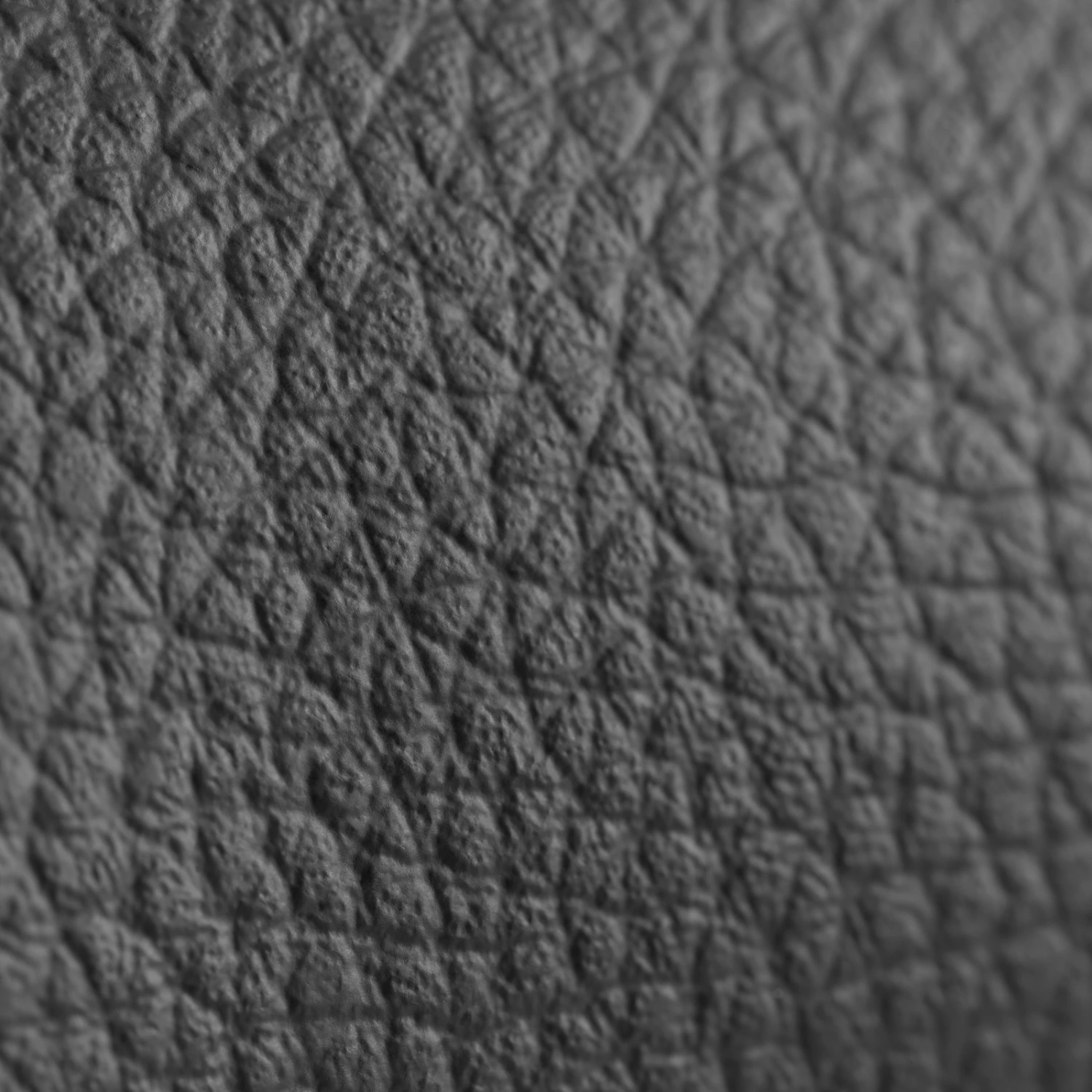 Horze Signature Gamaschen 19 Horze Signature Gamaschen – Bild 19