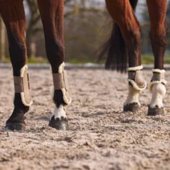 Horze Windsor Streichkappen Mit Kunstfellfutter -Horze Verkaufsgeschäft 19262 LBR 5