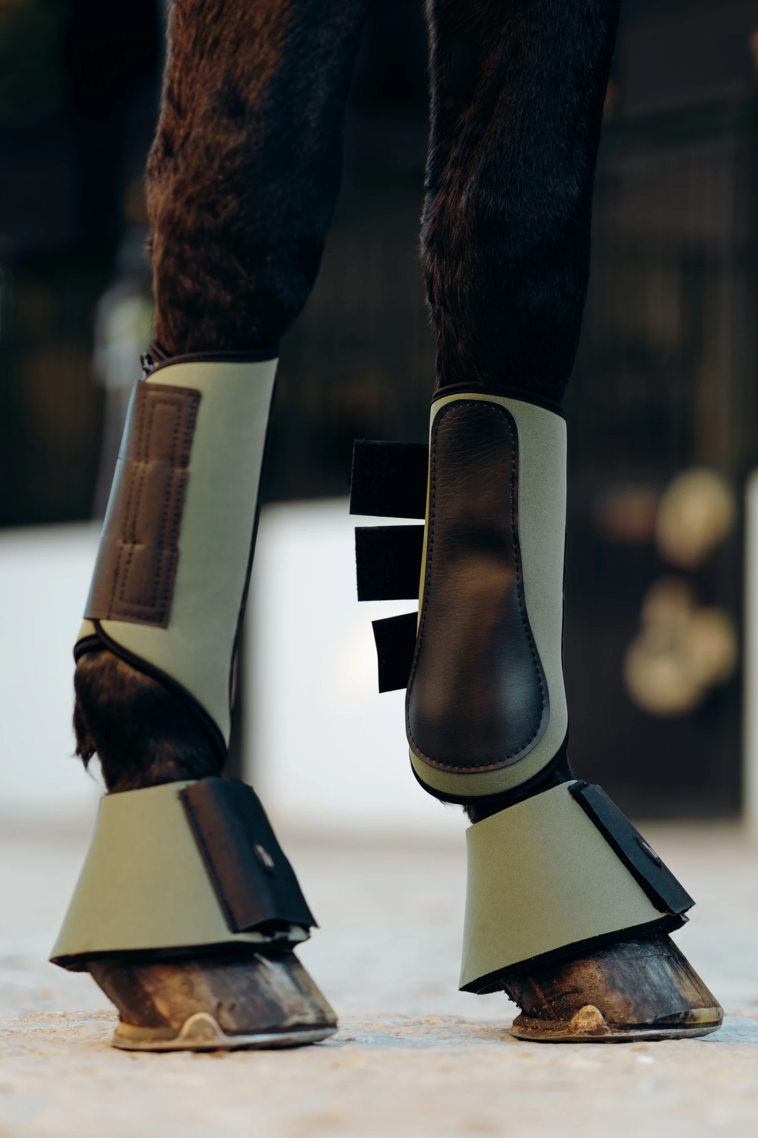 Horze Munich Gamaschen 5 Horze Munich Gamaschen – Bild 5