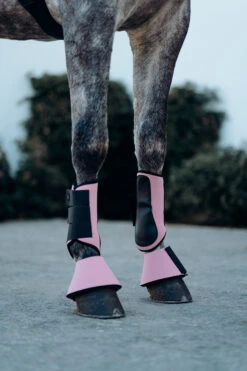 Horze Munich Gamaschen 29 Horze Munich Gamaschen -Horze Verkaufsgeschäft 19282 RTPI 5