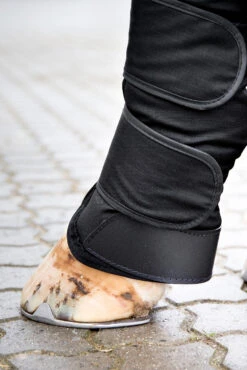 Horze Transportgamaschen -Horze Verkaufsgeschäft 19506 bl 04